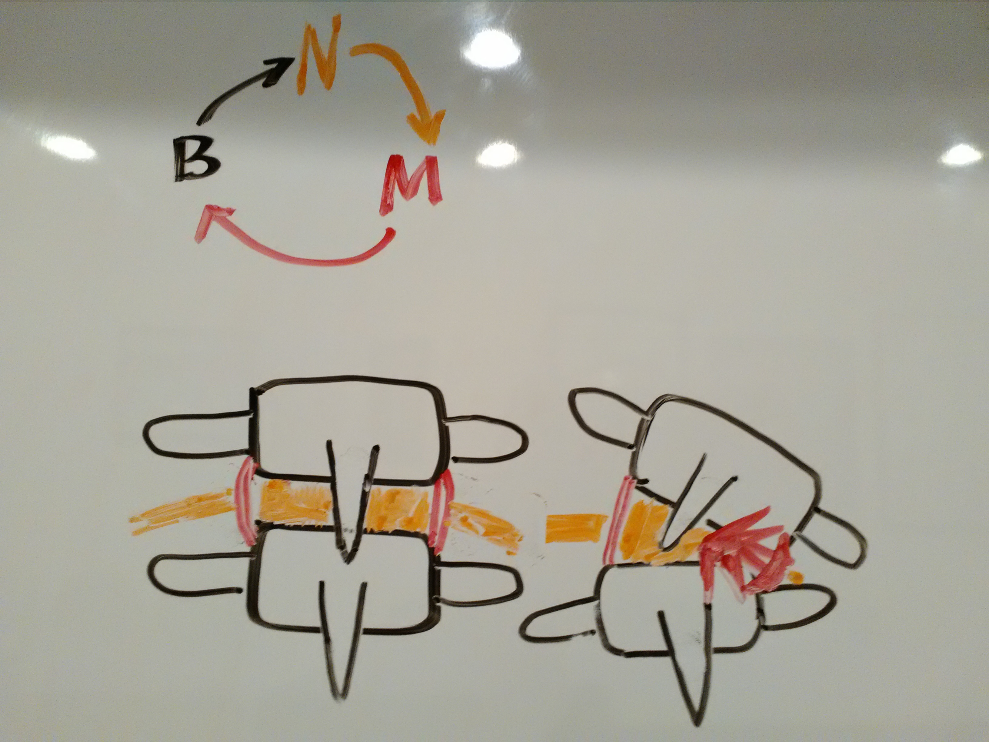 mbn-pic-for-fb-post-103116