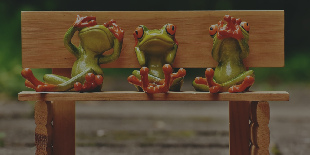 No See No Hear with Frogs Pic for Article